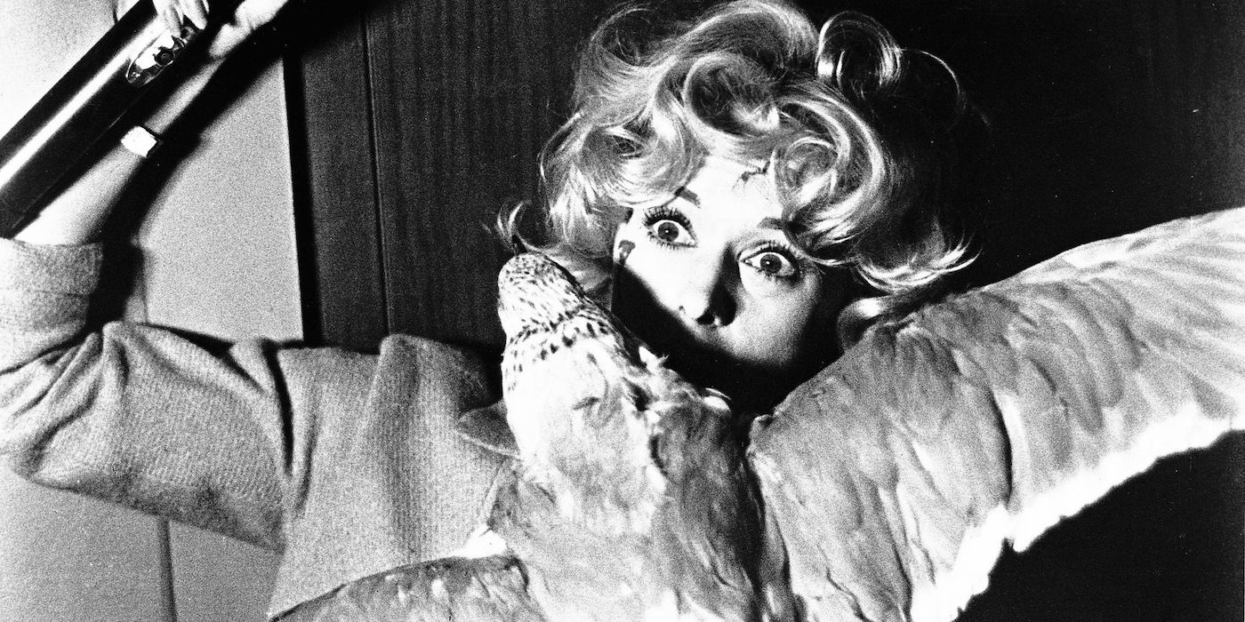 Tippi Hendren se fait attaquer dans Les Oiseaux