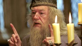 Harry Potter – la série : que pensent les fans du casting de Dumbledore ?