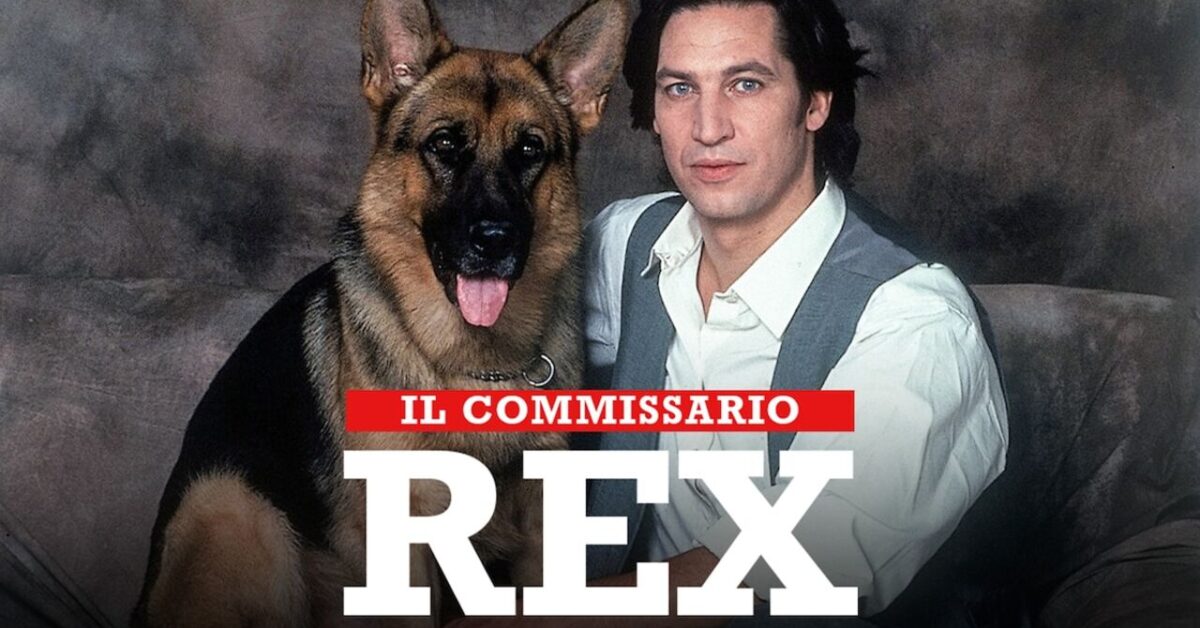 Inspecteur Rex, la série télévisée historique est prête à revenir : une série de films sur le chien policier bien-aimé a été annoncée !