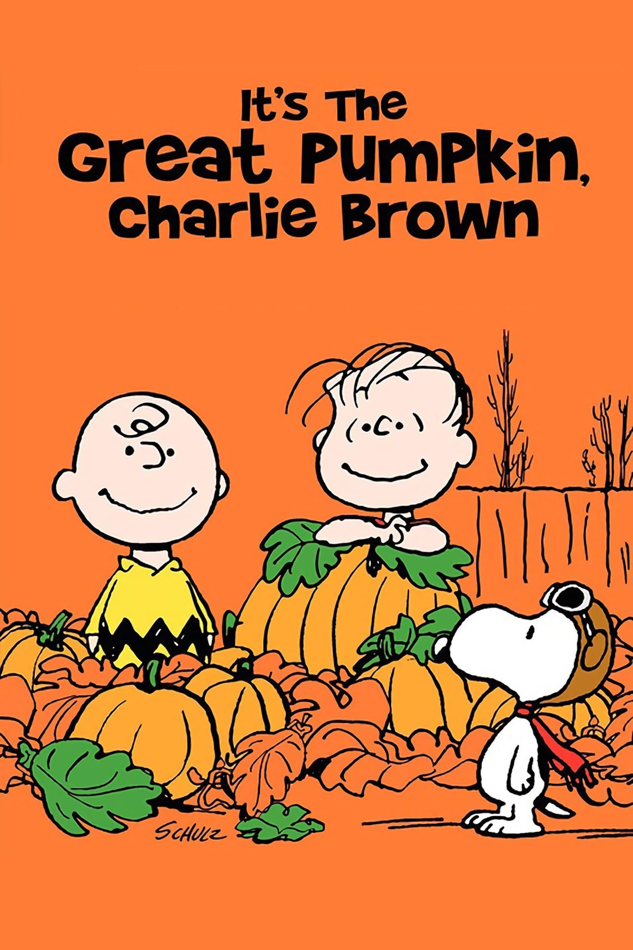 c'est-la-grande-citrouille-charlie-brown-poster.jpg