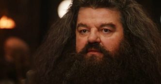 Harry Potter : les fans en révolte après les rumeurs sur le casting de Hagrid