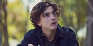 Timothée Chalamet in Lady Bird