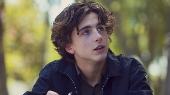 Timothée Chalamet in Lady Bird