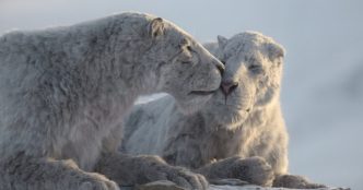 Il pianeta preistorico: Era glaciale, le prime immagini della docuserie Apple TV+