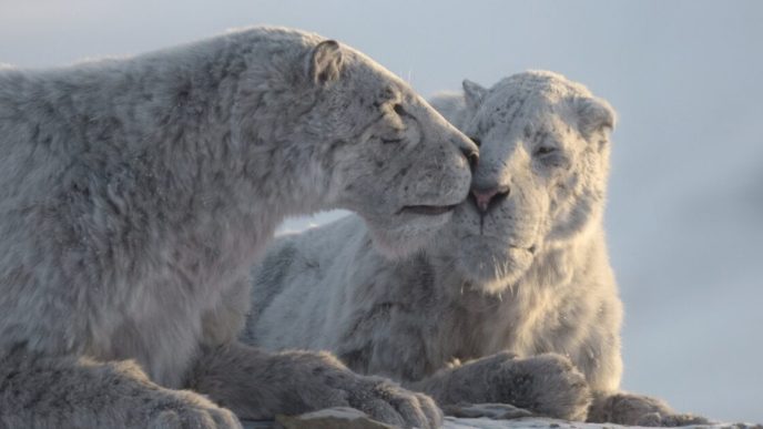 Il pianeta preistorico: Era glaciale, le prime immagini della docuserie Apple TV+